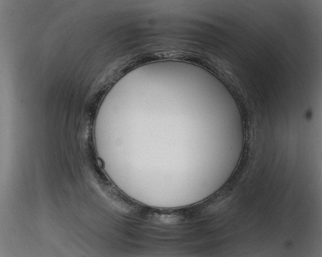 X0000116460645200912090928