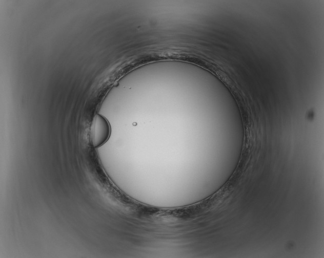 X0000116460648200912090928