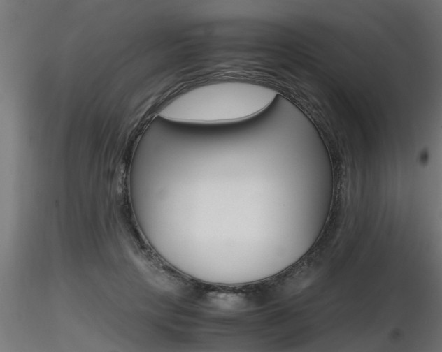 X0000116460649200912090928