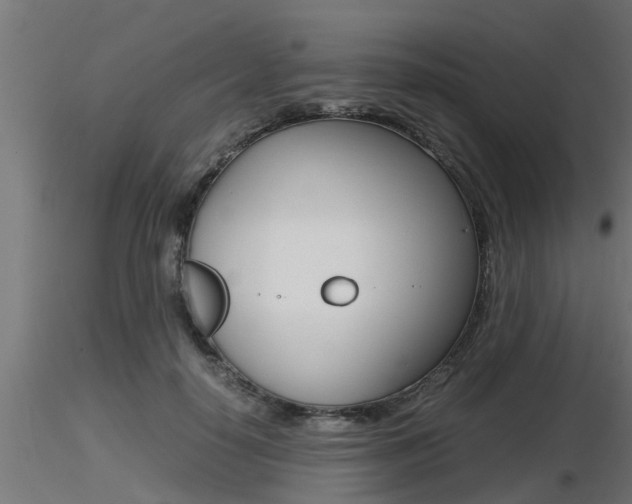 X0000116460650200912090928