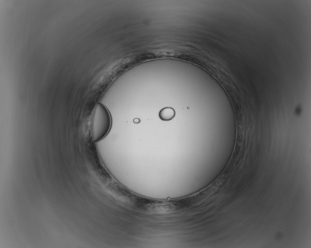 X0000116460652200912090928