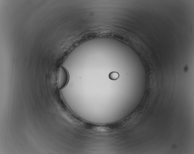 X0000116460654200912090928