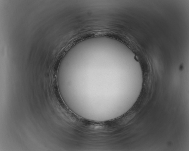 X0000116460655200912090928