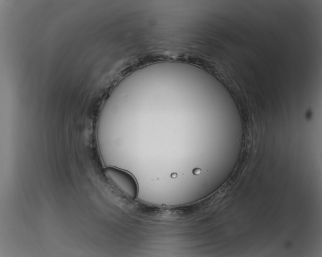 X0000116460656200912090928