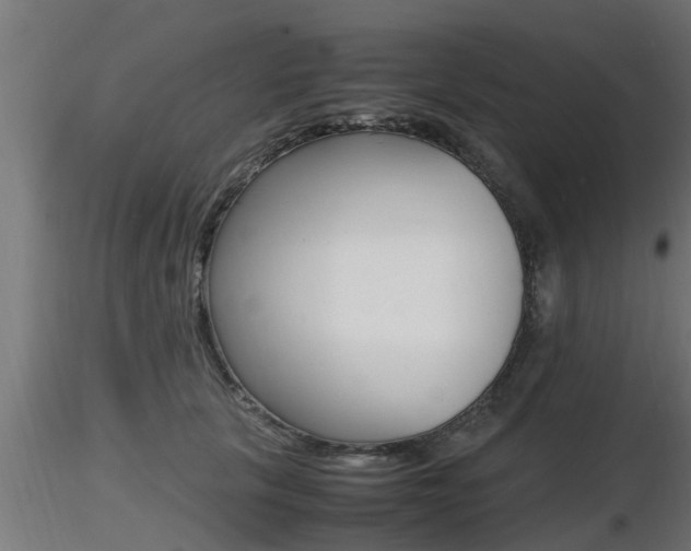X0000116460657200912090928