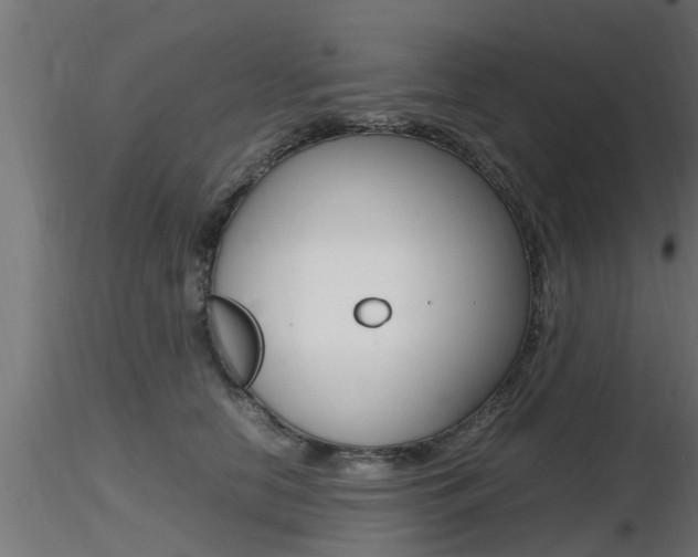 X0000116460658200912090928