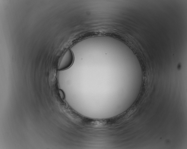 X0000116460660200912090928