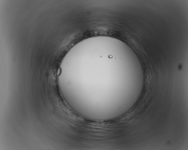 X0000116460661200912090928