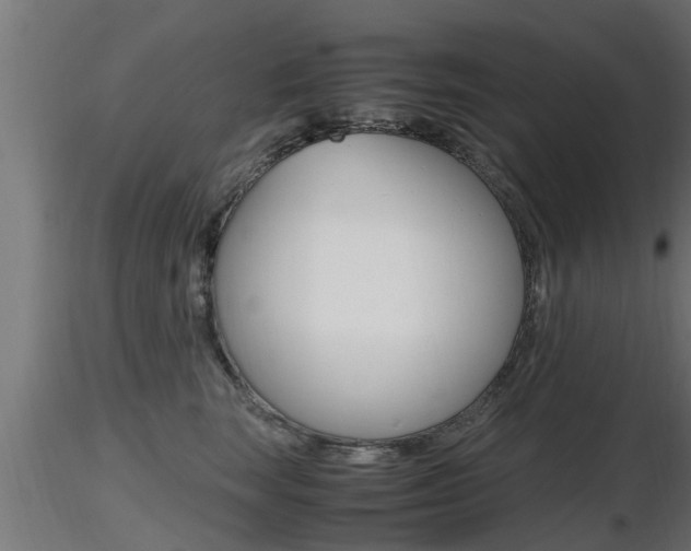 X0000116460663200912090928