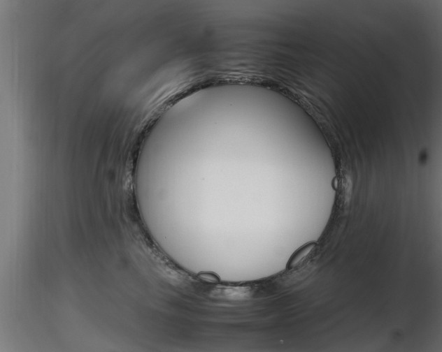 X0000116460665200912090928