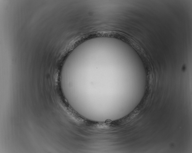 X0000116460668200912090928