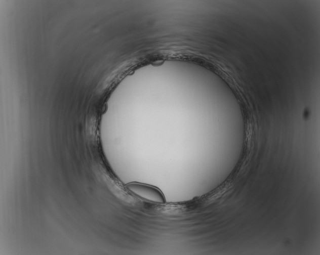 X0000116460670200912090928