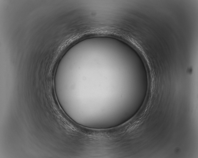 X0000116460673200912090928