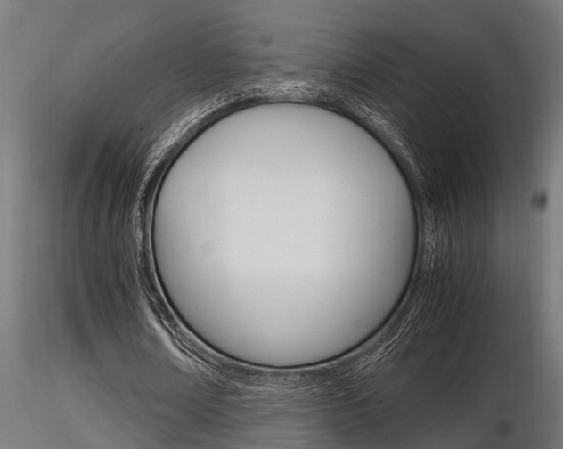 X0000116460674200912090928