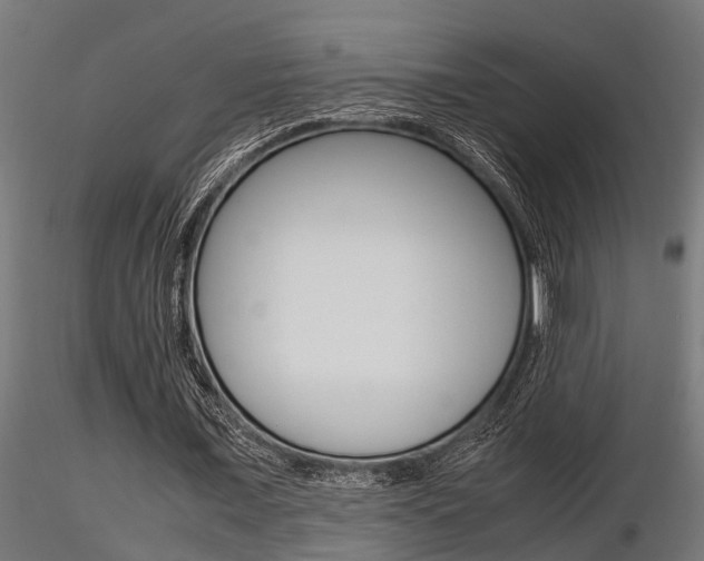 X0000116460675200912090928