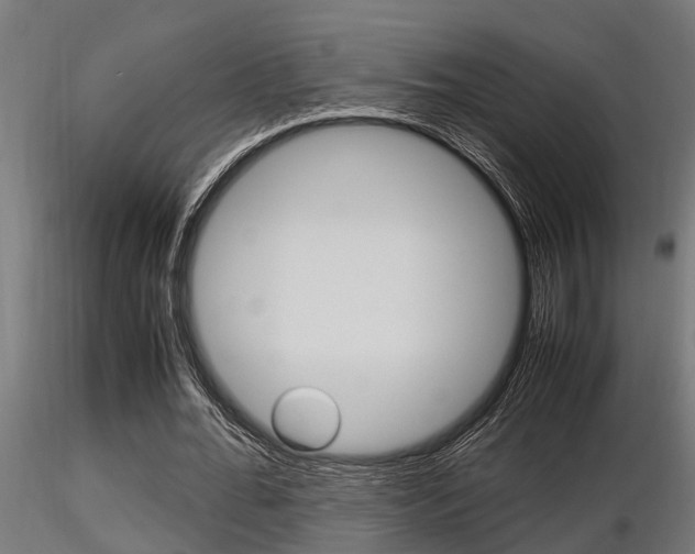 X0000116460676200912090928