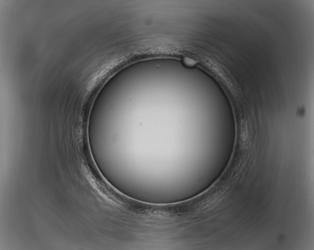 X0000116460677200912090928