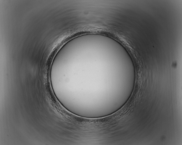 X0000116460679200912090928