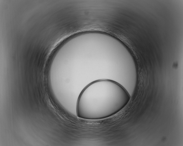 X0000116460680200912090928