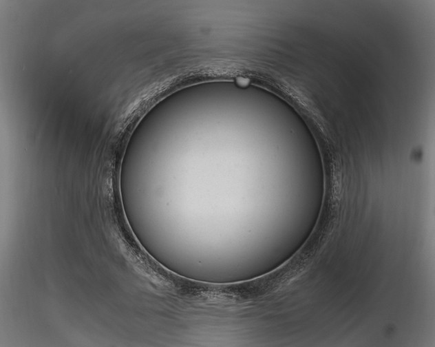 X0000116460681200912090928