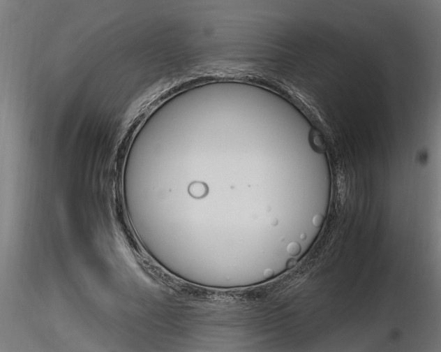 X0000116460682200912090928