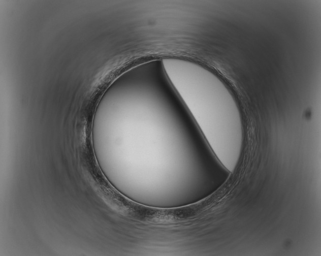 X0000116460685200912090928
