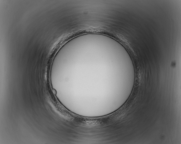 X0000116460686200912090928