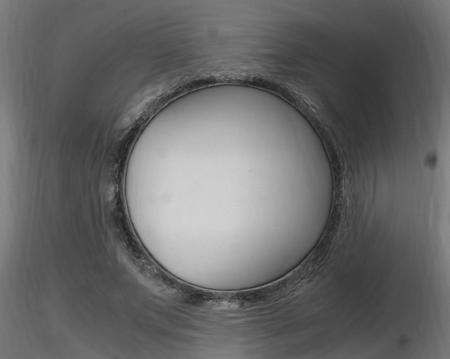 X0000116460687200912090928