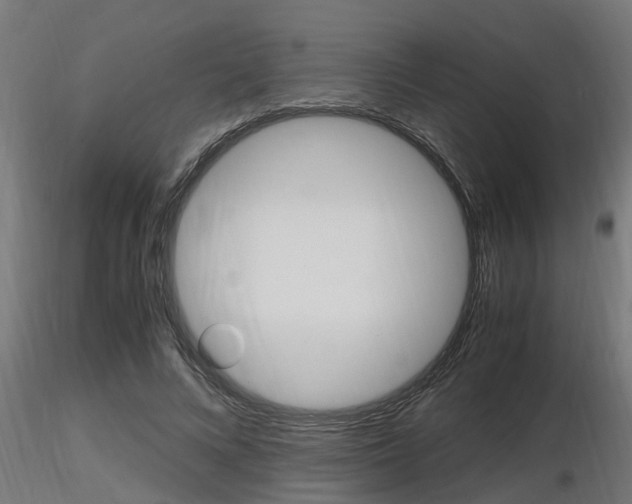 X0000116460688200912090928
