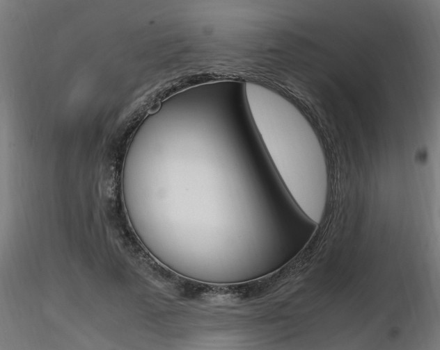 X0000116460689200912090928