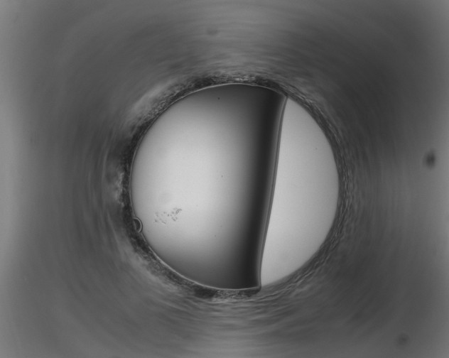 X0000116460693200912090927
