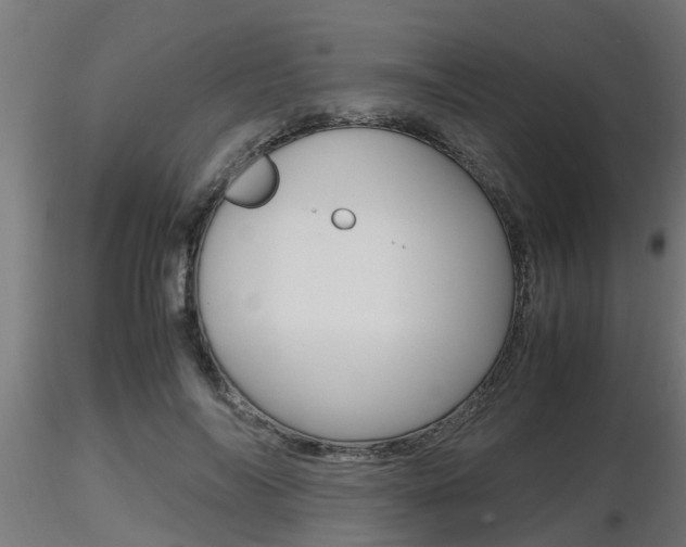 X0000116460694200912090927