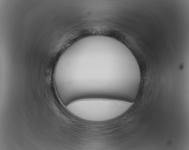 X0000116460695200912090927