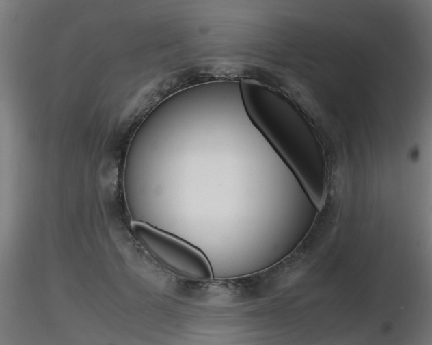 X0000116460697200912090927