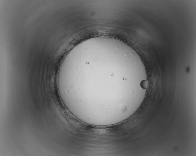 X0000116460698200912090927