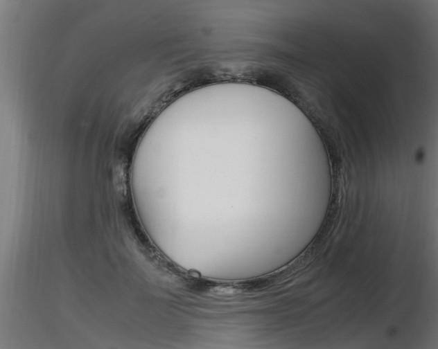 X0000116460699200912090927