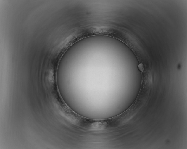 X0000116460700200912090927