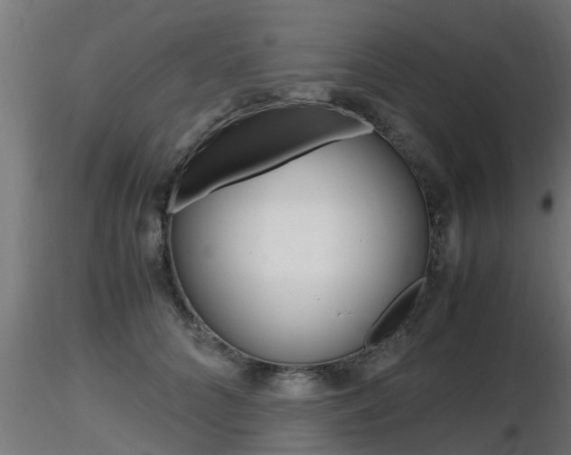 X0000116460704200912090927