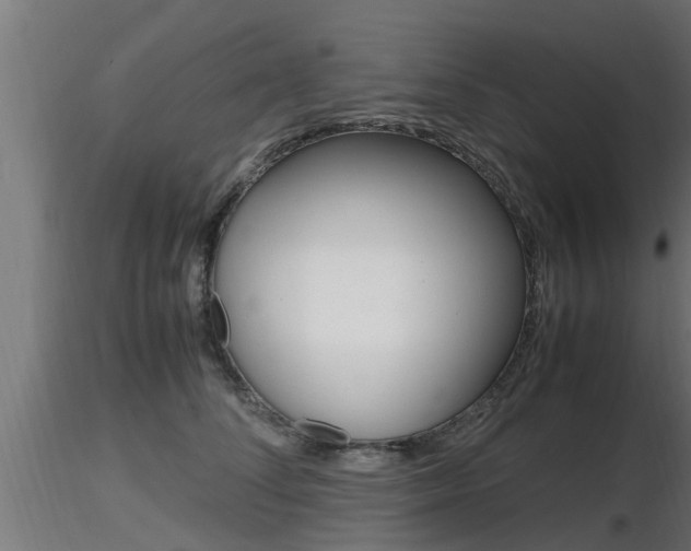 X0000116460708200912090927