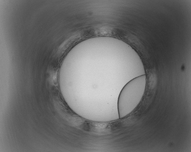 X0000116460709200912090927