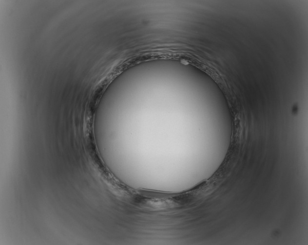 X0000116460712200912090927