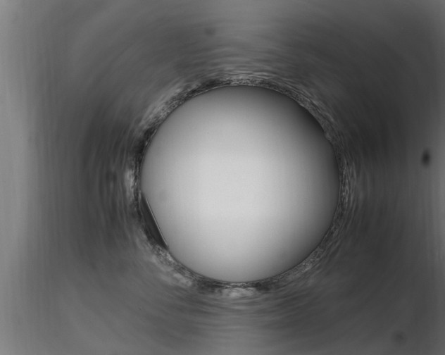 X0000116460716200912090927