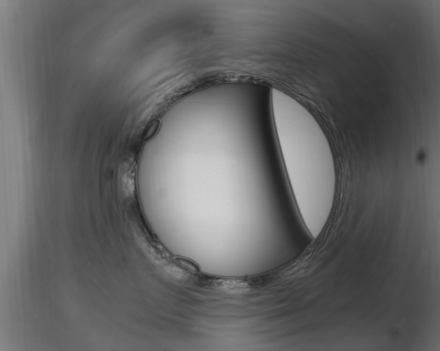 X0000116460719200912090927