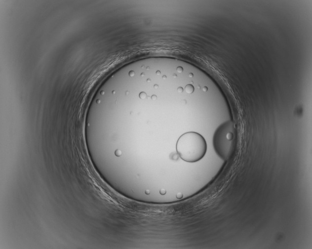 X0000116460721200912090926