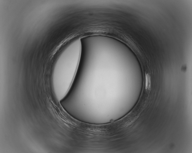 X0000116460723200912090926