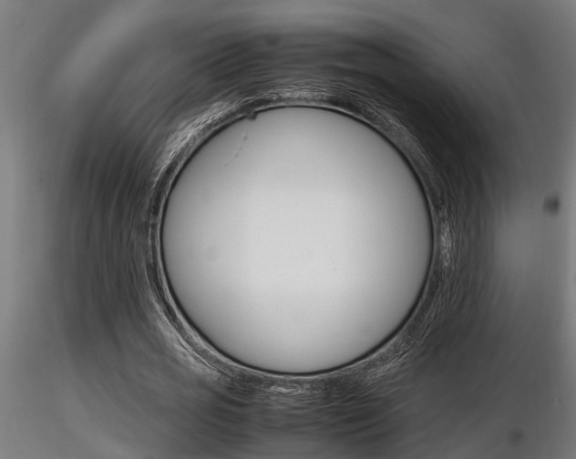 X0000116460725200912090926