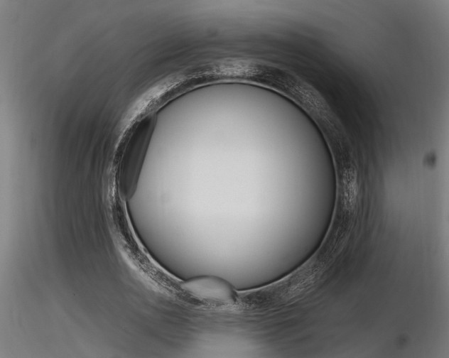 X0000116460726200912090926