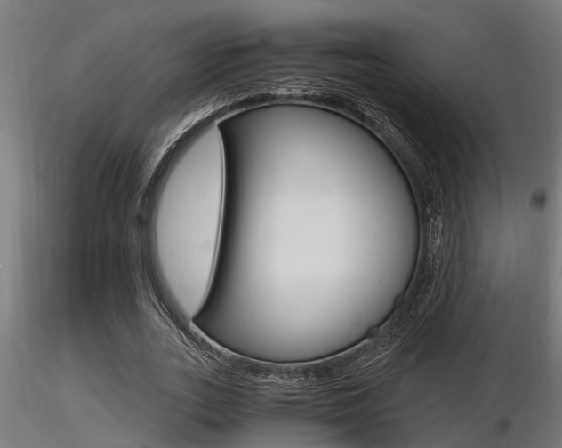 X0000116460727200912090926