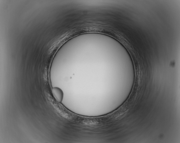 X0000116460729200912090926