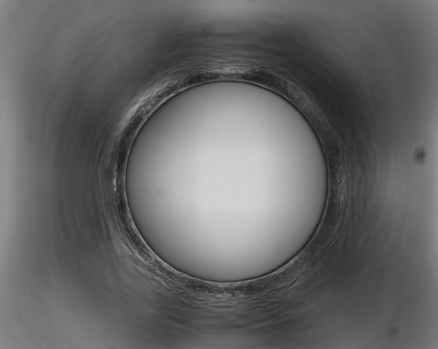 X0000116460731200912090926